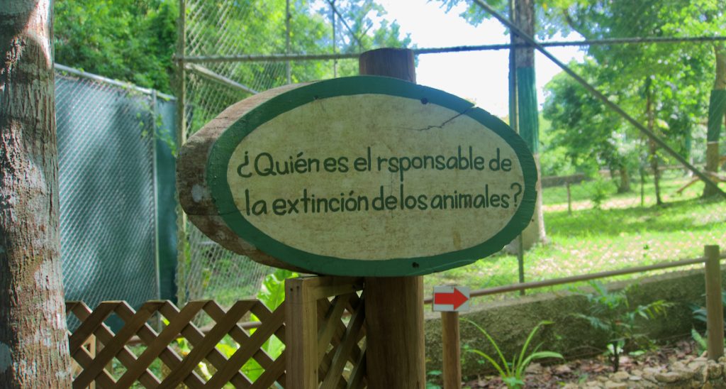 Arcas, Peten, Guatemala