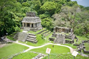 Templo del Conde, Palenque, Mexico