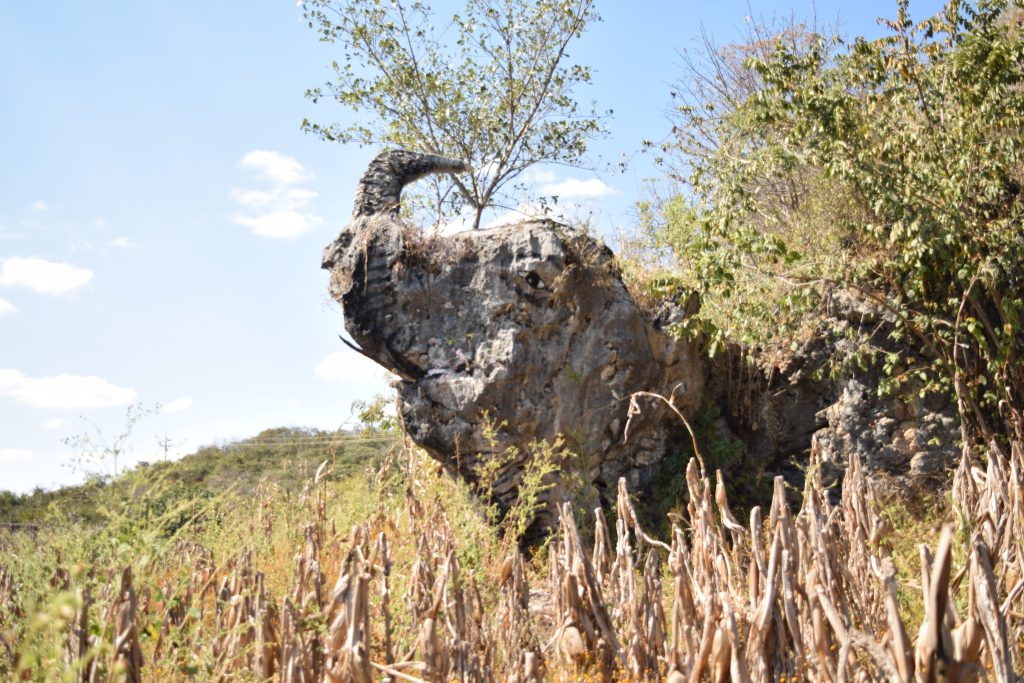 Piedra de Elefanta, Guatemala